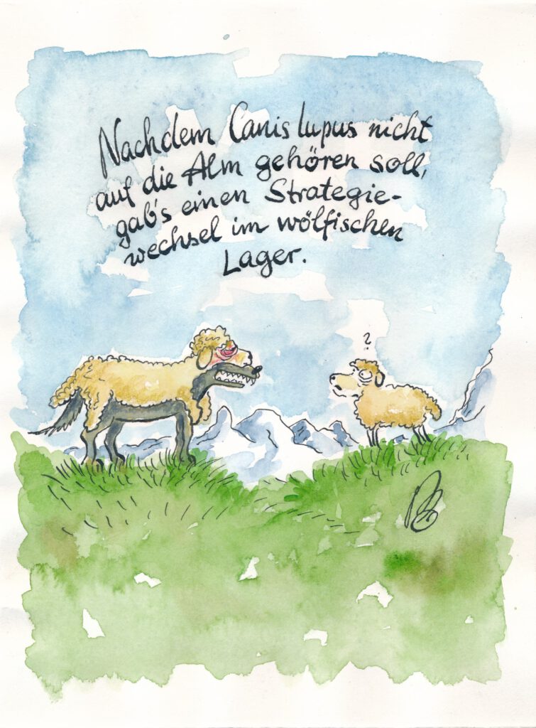 Wolf Im Schafspelz Karikatur Fr Nkische Zeitung